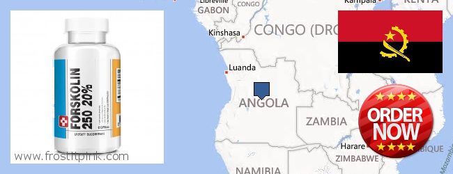 Kde koupit Forskolin on-line Angola