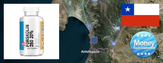 Dónde comprar Forskolin en linea Antofagasta, Chile