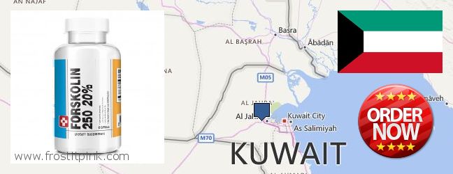 Best Place to Buy Forskolin Extract online Ar Rumaythiyah, Kuwait