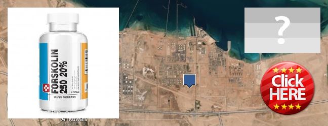 Buy Forskolin Extract online Ar Ruways, UAE Where Can I Purchase Forskolin Extract online Ar Ruways, UAE