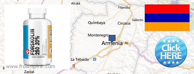 Where to Buy Forskolin Extract online Armenia