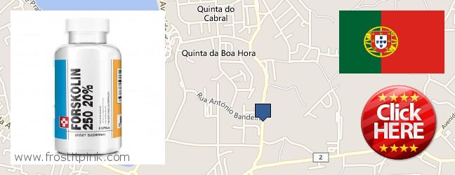 Where to Buy Forskolin Extract online Arrentela, Portugal