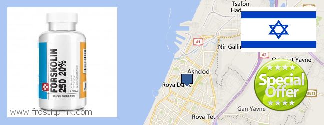 Where to Buy Forskolin Extract online Ashdod, Israel