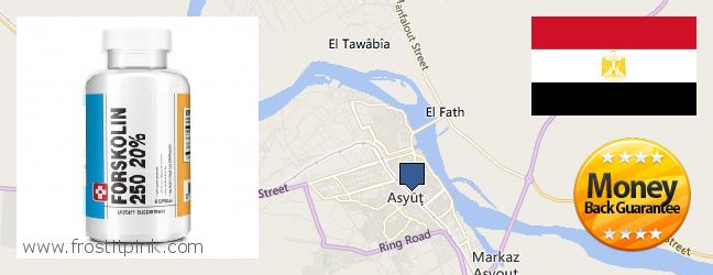 Where to Buy Forskolin Extract online Asyut, Egypt