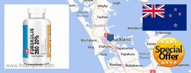 Buy Forskolin Extract online Auckland, New Zealand Where to Buy Forskolin Extract online Auckland, New Zealand