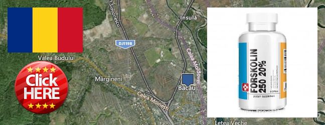 Къде да закупим Forskolin онлайн Bacau, Romania