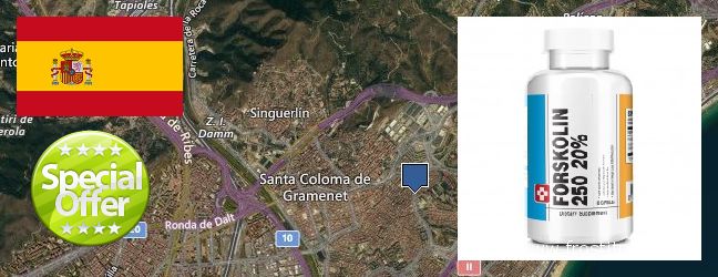 Dónde comprar Forskolin en linea Badalona, Spain