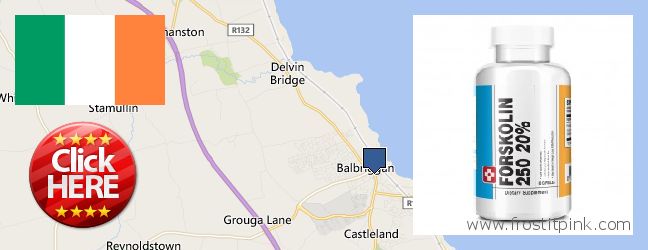 Where to Purchase Forskolin Extract online Balbriggan, Ireland