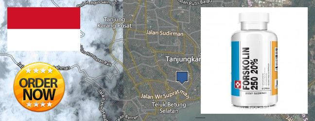 Where to Purchase Forskolin Extract online Bandar Lampung, Indonesia