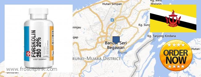 Where to Buy Forskolin Extract online Bandar Seri Begawan, Brunei