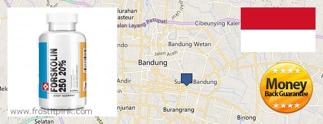 Where to Purchase Forskolin Extract online Bandung, Indonesia