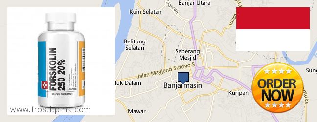 Where to Buy Forskolin Extract online Banjarmasin, Indonesia