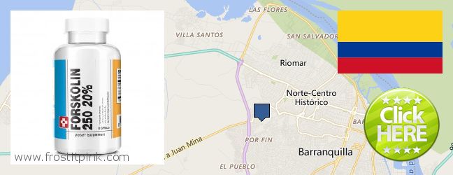 Dónde comprar Forskolin en linea Barranquilla, Colombia