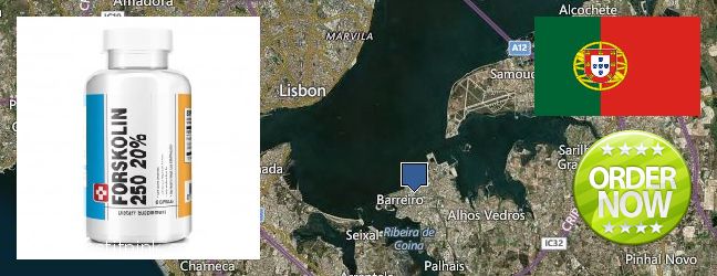 Buy Forskolin Extract online Barreiro, Portugal Where to Buy Forskolin Extract online Barreiro, Portugal