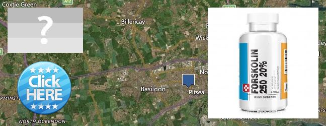 Where to Buy Forskolin Extract online Basildon, UK