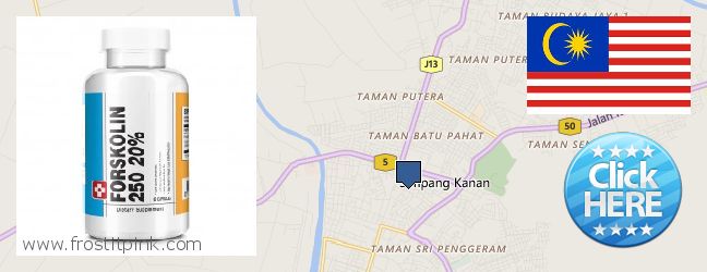 Where Can You Buy Forskolin Extract online Batu Pahat, Malaysia