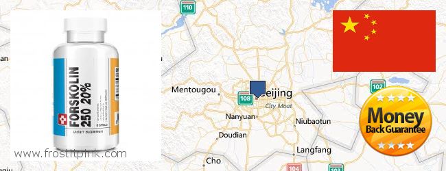 Where to Buy Forskolin Extract online Beijing, China