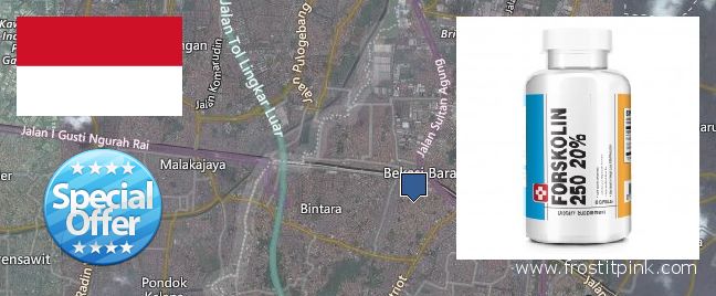 Where to Buy Forskolin Extract online Bekasi, Indonesia