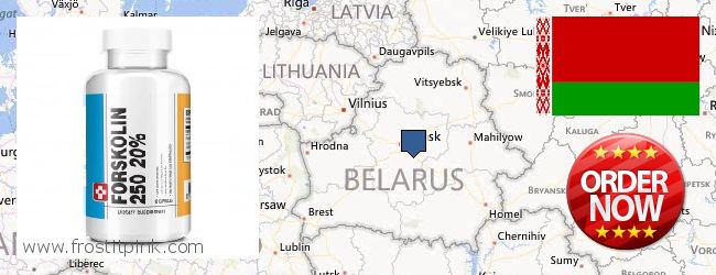 Where Can I Buy Forskolin Extract online Belarus