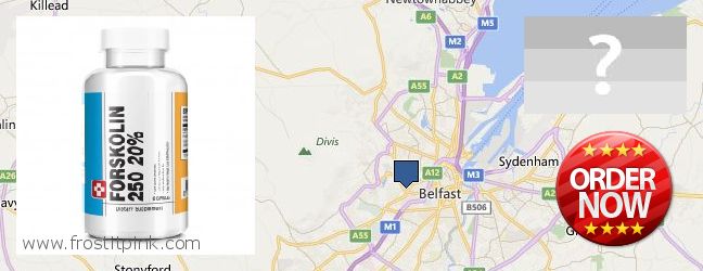 Where to Buy Forskolin Extract online Belfast, UK