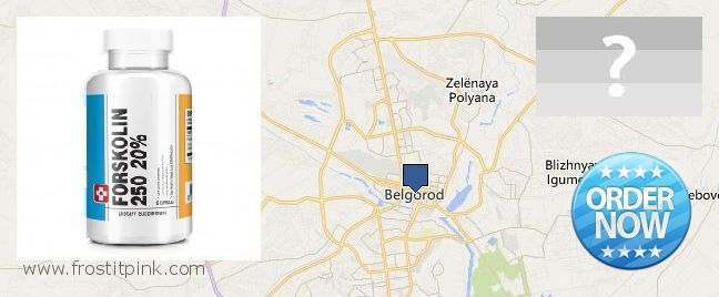 Where to Buy Forskolin Extract online Belgorod, Russia