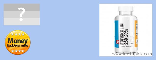 Where to Purchase Forskolin Extract online Belgrade, Serbia and Montenegro