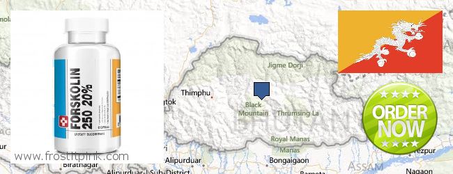 Purchase Forskolin Extract online Bhutan