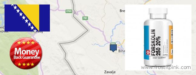 Where to Buy Forskolin Extract online Bihac, Bosnia and Herzegovina