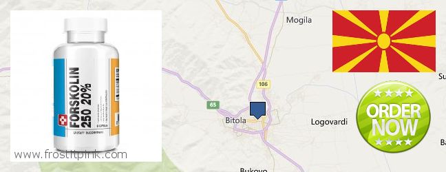 Where to Buy Forskolin Extract online Bitola, Macedonia