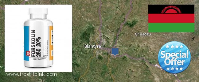 Buy Forskolin Extract online Blantyre, Malawi Where Can I Purchase Forskolin Extract online Blantyre, Malawi