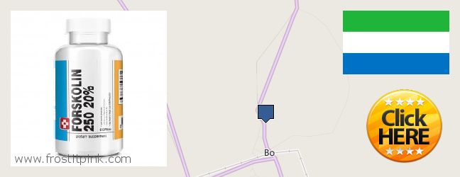 Where Can You Buy Forskolin Extract online Bo, Sierra Leone