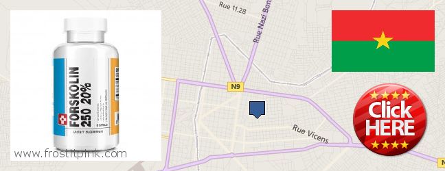 Where to Buy Forskolin Extract online Bobo-Dioulasso, Burkina Faso