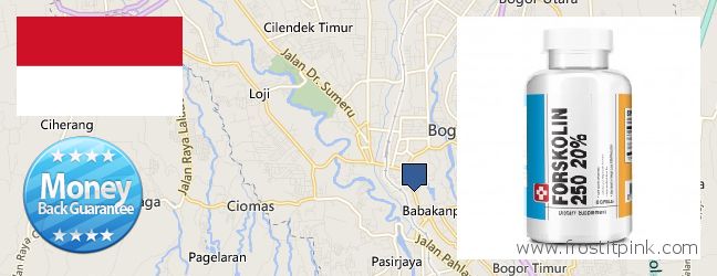 Where to Purchase Forskolin Extract online Bogor, Indonesia