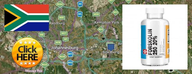 Where to Buy Forskolin Extract online Boksburg, South Africa