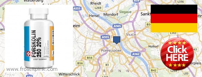 Hvor kan jeg købe Forskolin online Bonn, Germany