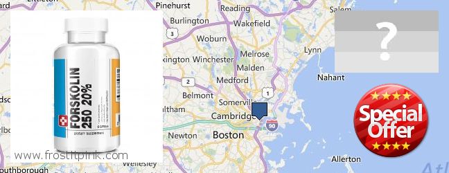 Onde Comprar Forskolin on-line Boston, USA