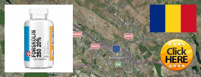 Hol lehet megvásárolni Forskolin online Botosani, Romania
