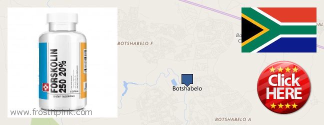 Waar te koop Forskolin online Botshabelo, South Africa