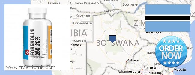 Kde koupit Forskolin on-line Botswana