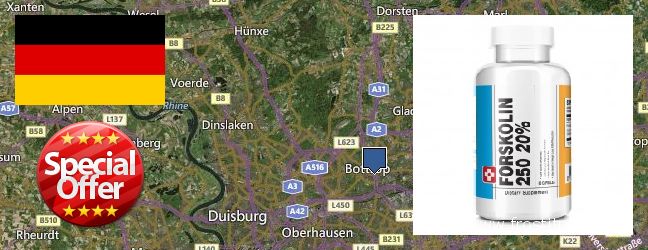 Wo kaufen Forskolin online Bottrop, Germany