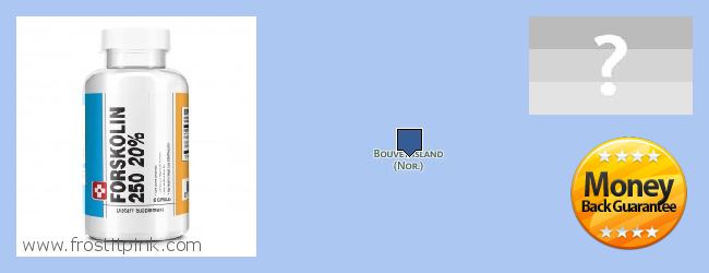 Hvor kan jeg købe Forskolin online Bouvet Island