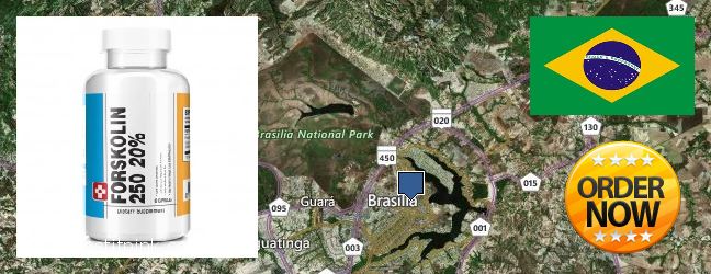 Where to Buy Forskolin Extract online Brasilia, Brazil