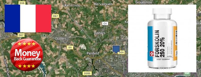 Where Can I Buy Forskolin Extract online Brest, France