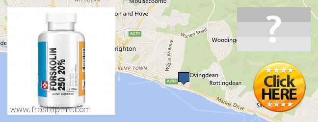 Where to Buy Forskolin Extract online Brighton, UK