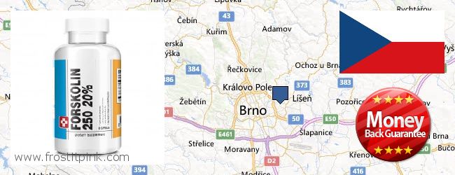 Къде да закупим Forskolin онлайн Brno, Czech Republic