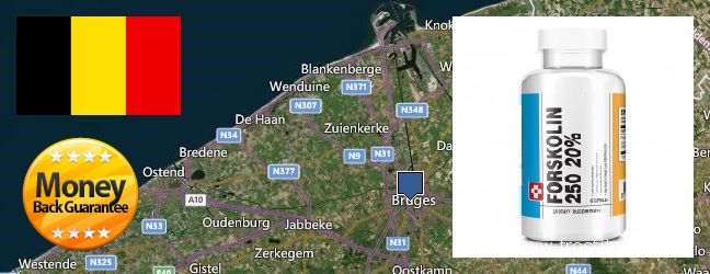 Wo kaufen Forskolin online Brugge, Belgium
