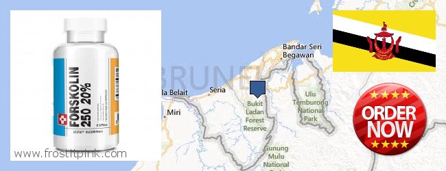 Πού να αγοράσετε Forskolin σε απευθείας σύνδεση Brunei