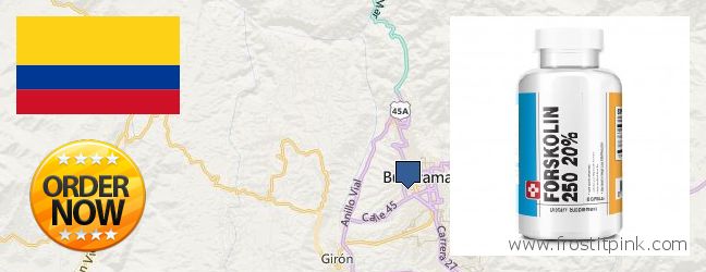 Where Can I Purchase Forskolin Extract online Bucaramanga, Colombia