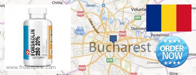 Nereden Alınır Forskolin çevrimiçi Bucharest, Romania