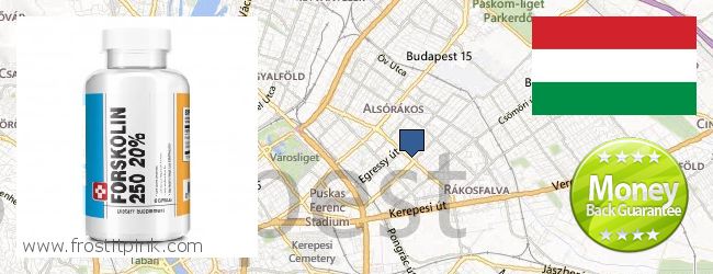 Wo kaufen Forskolin online Budapest, Hungary